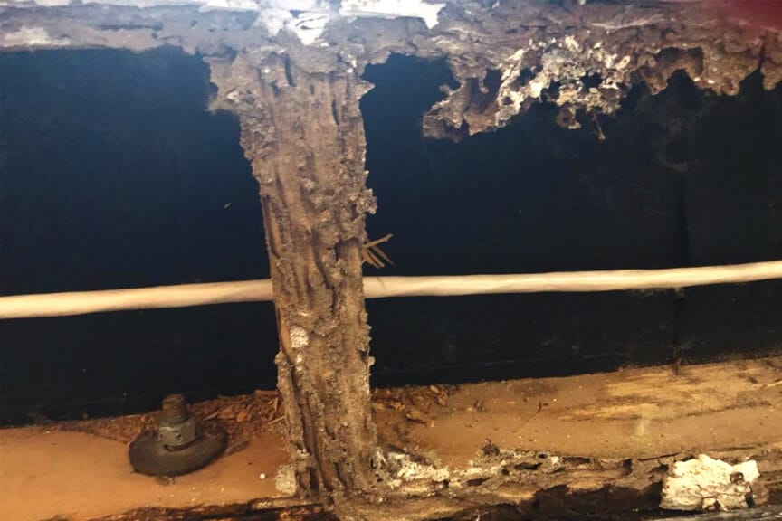 Varsity Termite & Pest Control Team